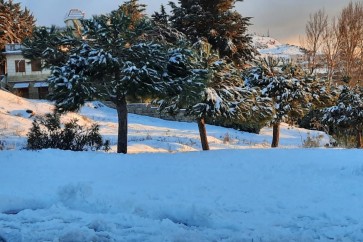 ثلوج لبنان - العاصفة هبة