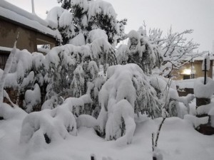IMG-20220127-WA0031