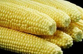 American Corn