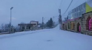 IMG-20220315-WA0040