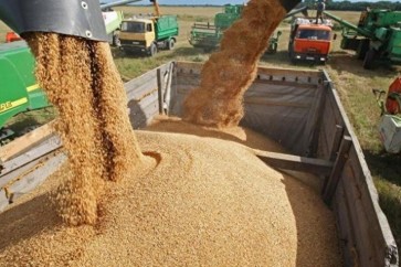 Wheat Prices
