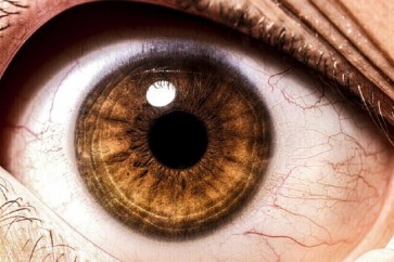 Eye Health