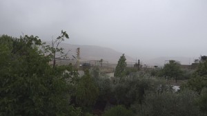 شتاء بقاع غربي2