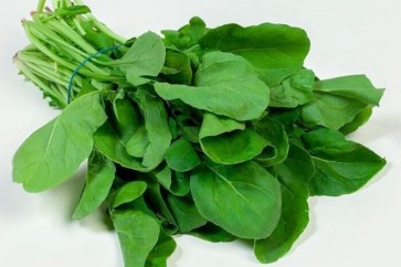 Gargeer1