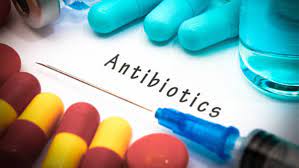 Antibodies