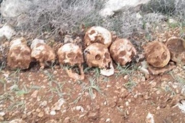 العثور على 11 رفات في منطقة ضواحي القدس يشتبه أنها تعود لجنود (1)