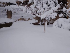 FB_IMG_1675855649536