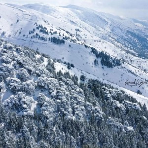 ثلج لبنان
