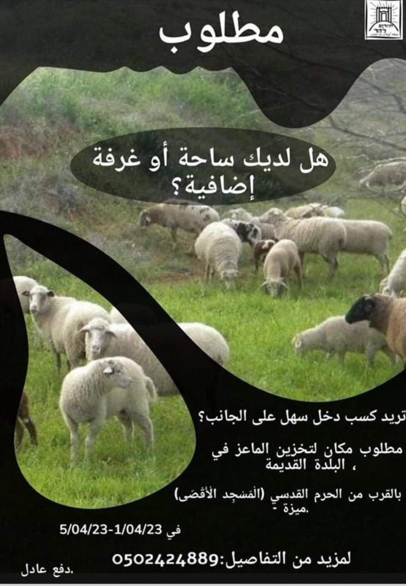 منشور 2