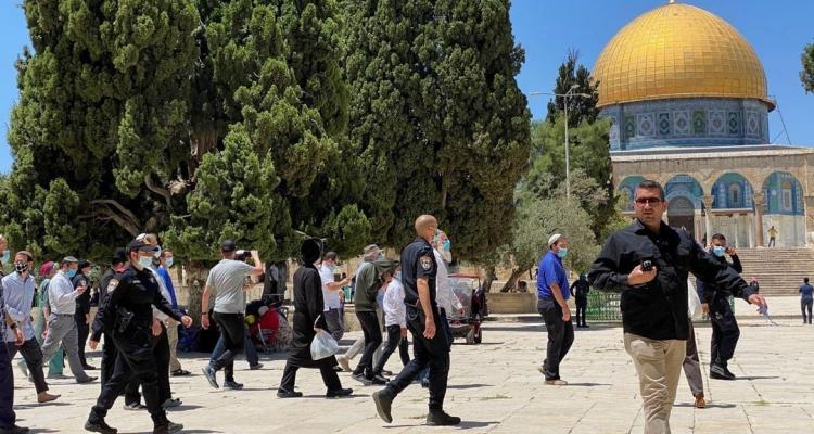 مستوطنون صهاينة يدنسون المسجد الأقصى المبارك