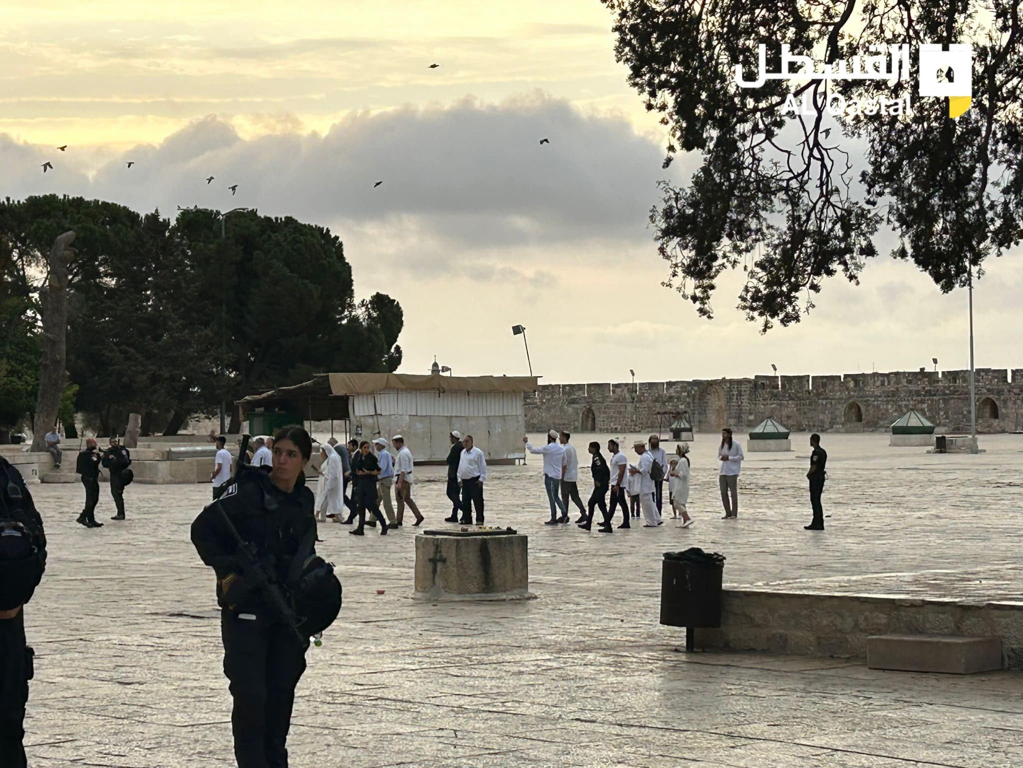 اقتحامات واسعة للمستوطنين لباحات المسجد الأقصى