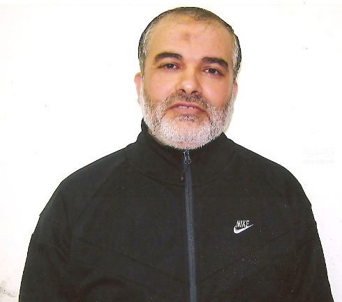 حامد