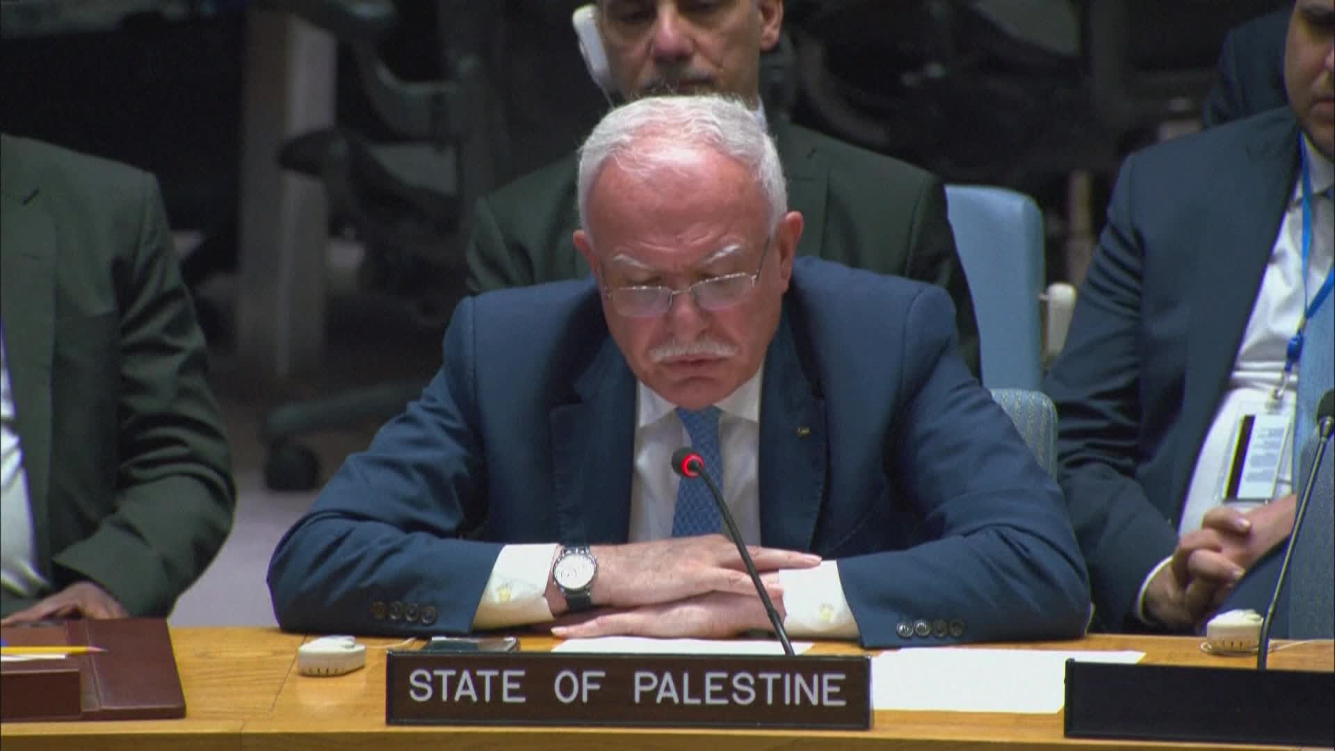 وزير الخارجية الفلسطيني رياض المالكي