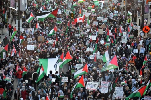  <a href="https://www.almanar.com.lb/11308013">تغطية | يوم التضامن الدولي مع الشعب الفلسطيني</a>