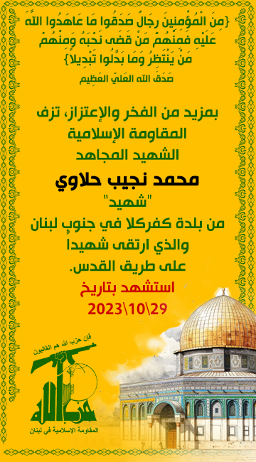 mohamad-halawe