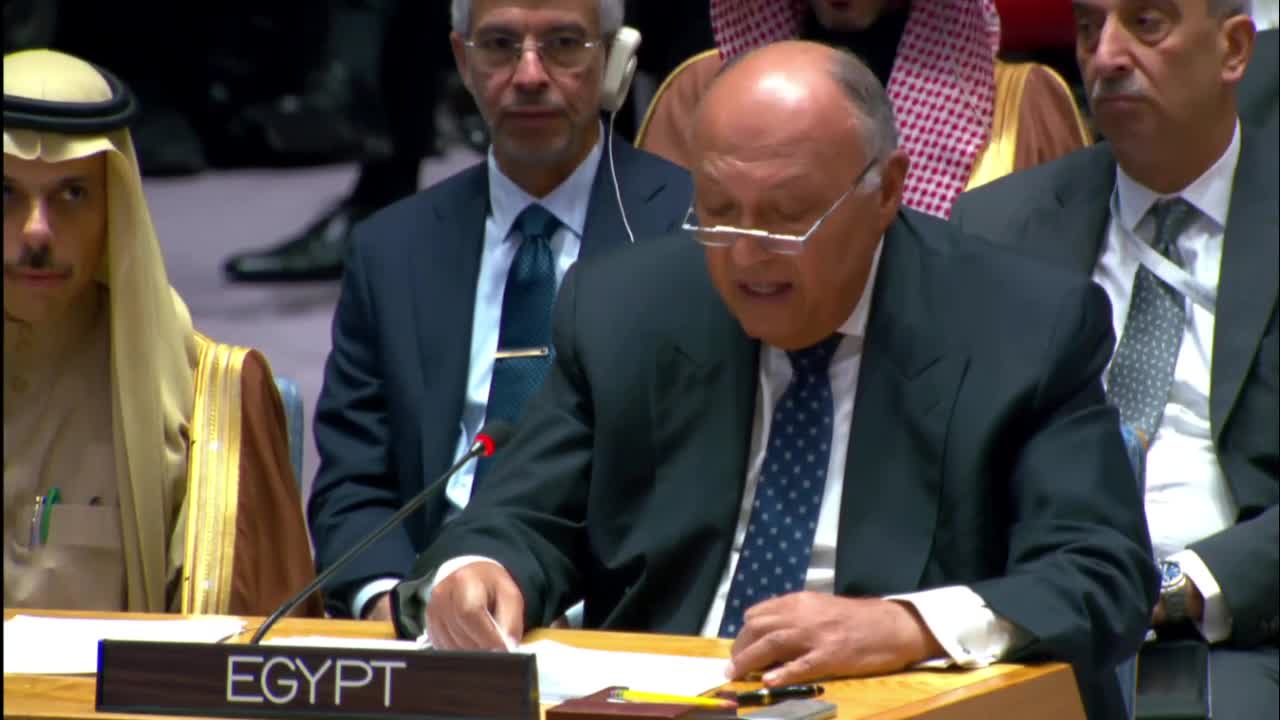 وزير الخارجية المصري سامح شكري المصري