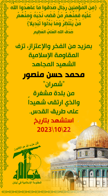 mohammad-mansour