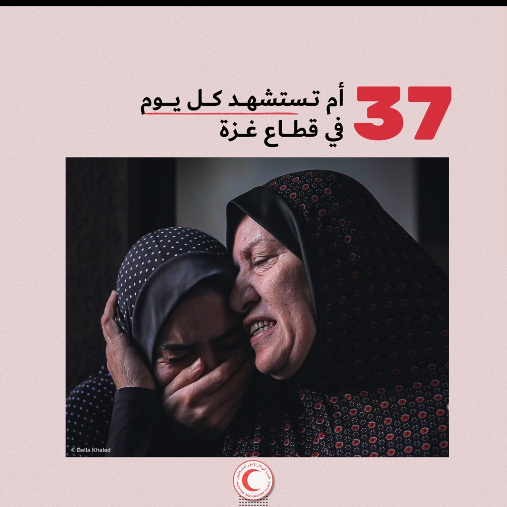 عيد الأم
