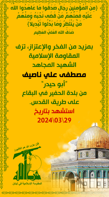 mostafa-nasef