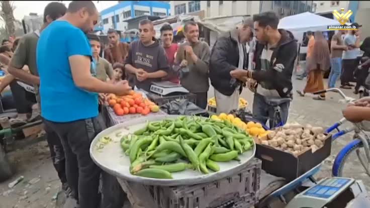 شمال القطاع