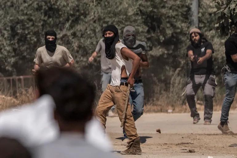 Two injuries, theft of an olive harvest, and settler attacks in the West Bank